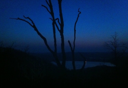 Night on Lakeview Trail